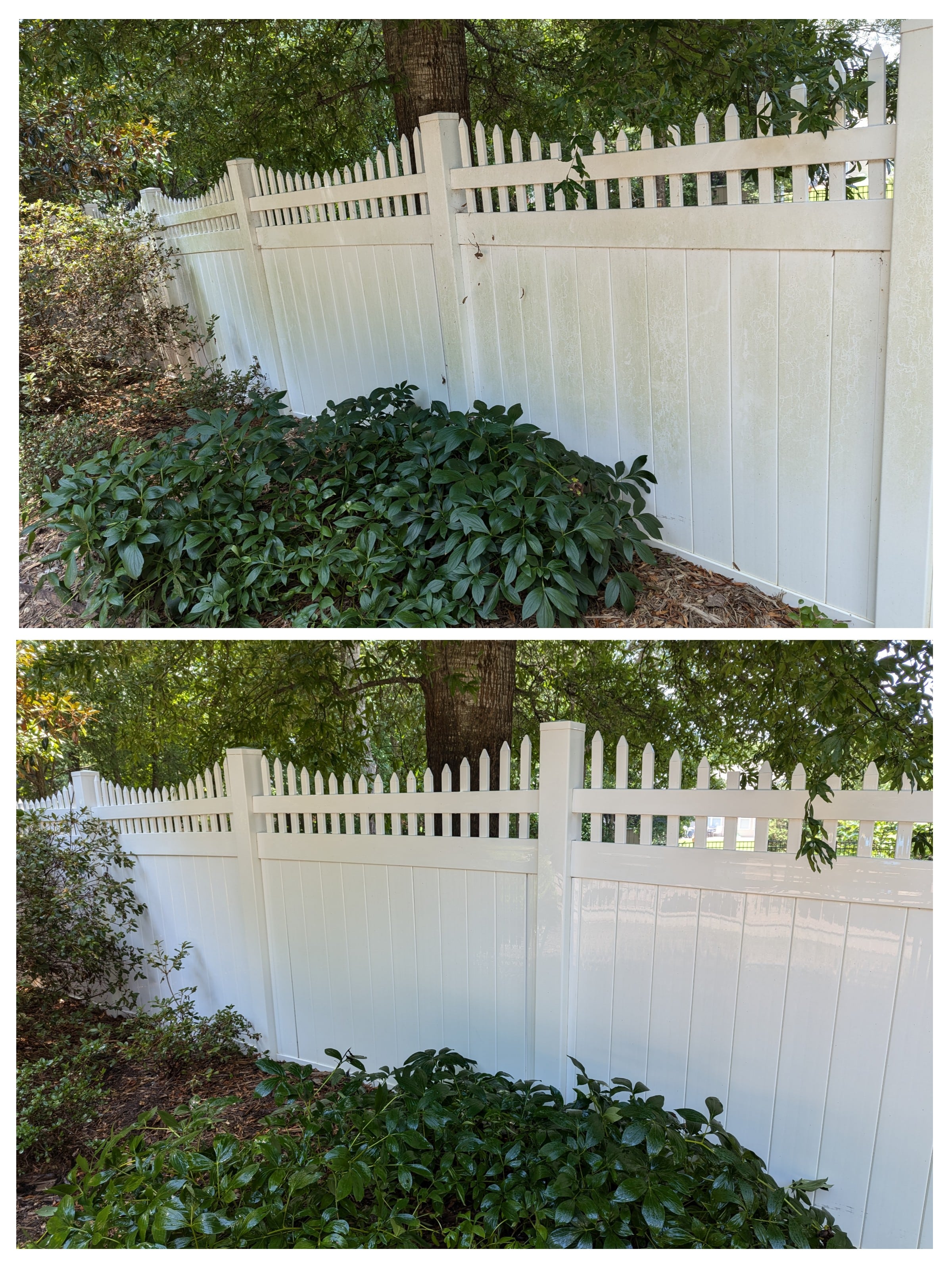 Top Quality Deck And Fence Cleaning In Indian Land, SC