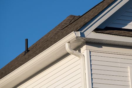 Gutter Cleaning